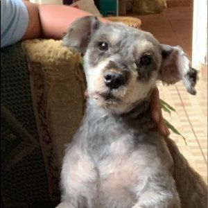 Meet your Posher, Marcelo